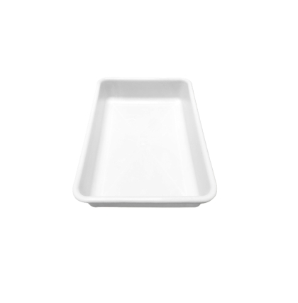 CRISPER PLASTICO MEDIANO R 40 X 30 