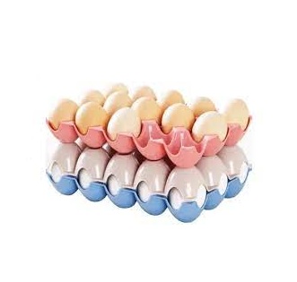 HUEVERA PLASTICA X 16