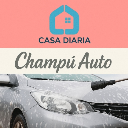 CHAMPU AUTO X LITRO