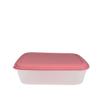 HERMETICO PLASTICO RECTANGULAR DIF 2.5 LT