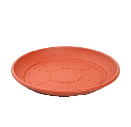 PLATO MACETA N� 18