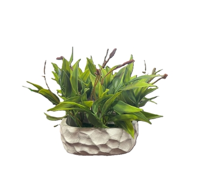 PLANTA VERDE MACETA JARDINERA CEMENTO