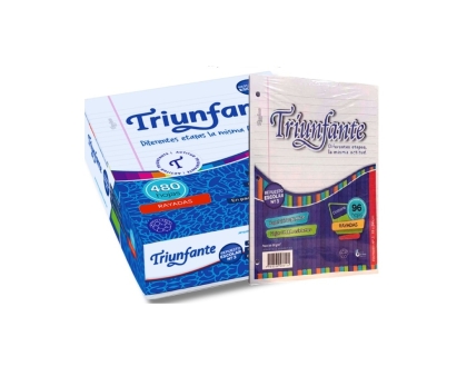 REPUESTO A4 RAYA X 96 HOJAS