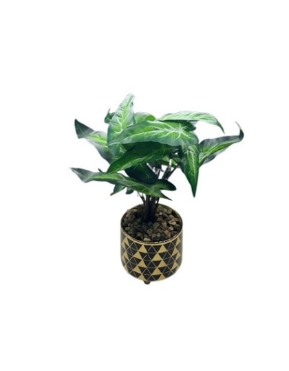 PLANTA MACETA REDONDA BRILLANTE