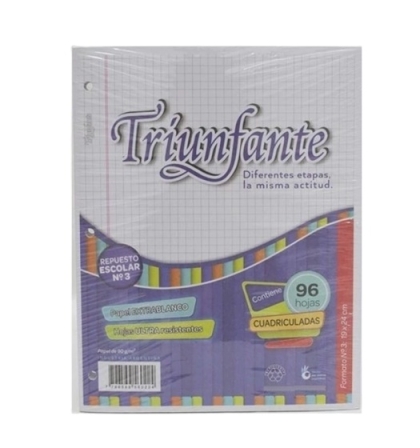 REPUESTO ESCOLAR TFTE CUADRI 90 GR X 96 HOJAS